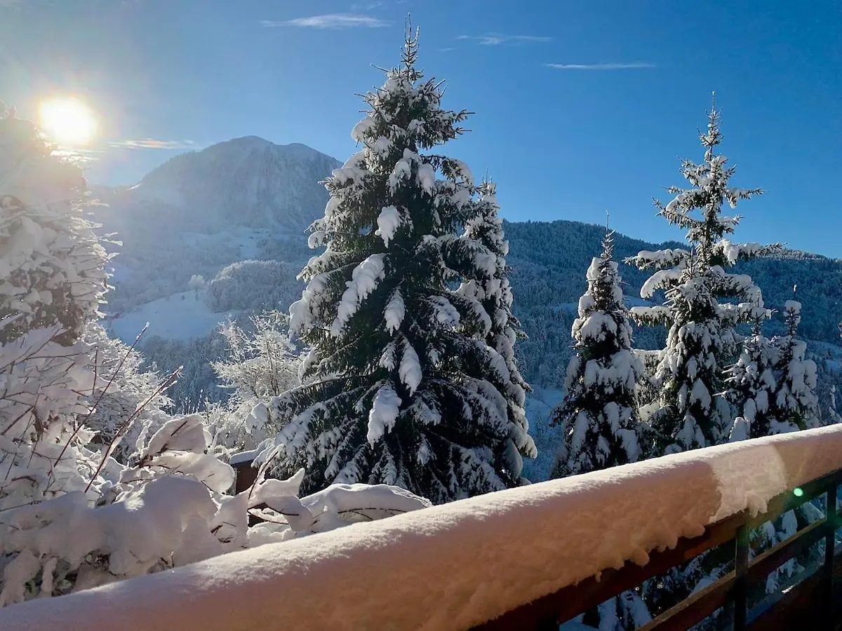 Logement 3 Etoiles Avec Vue Imprenable Sur Les Montagnes, Ski Bus Manigod France
