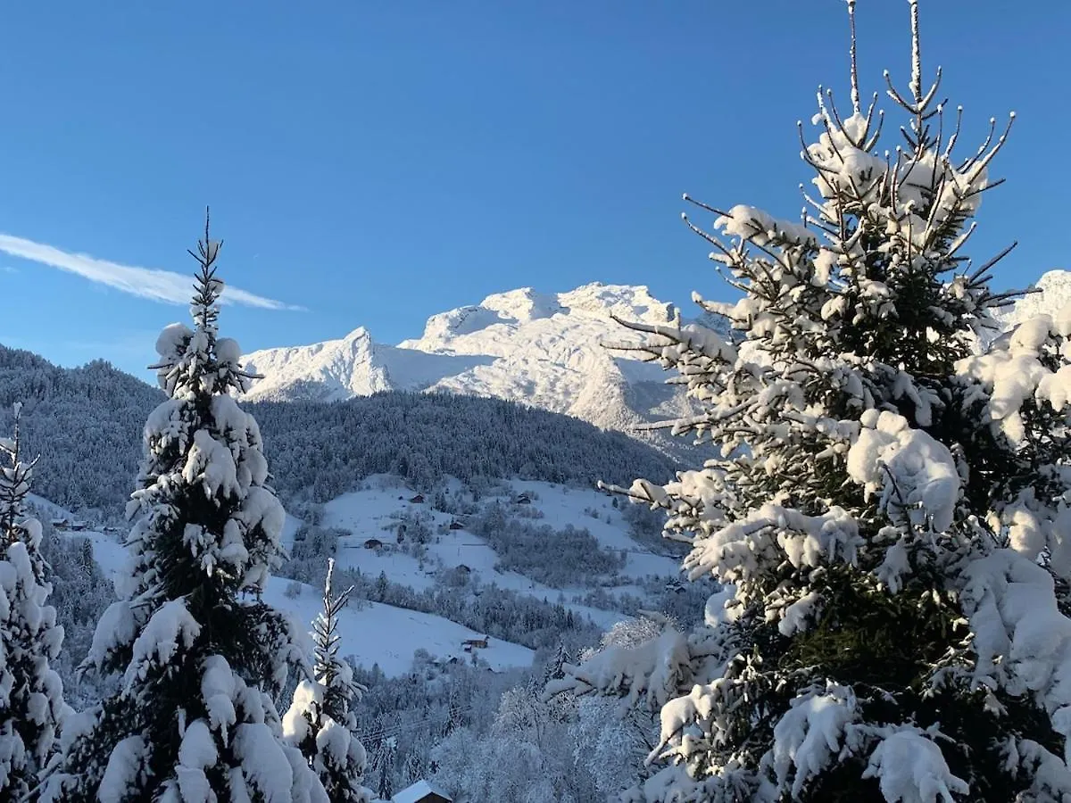 Logement 3 Etoiles Avec Vue Imprenable Sur Les Montagnes, Ski Bus Manigod 0*,  France